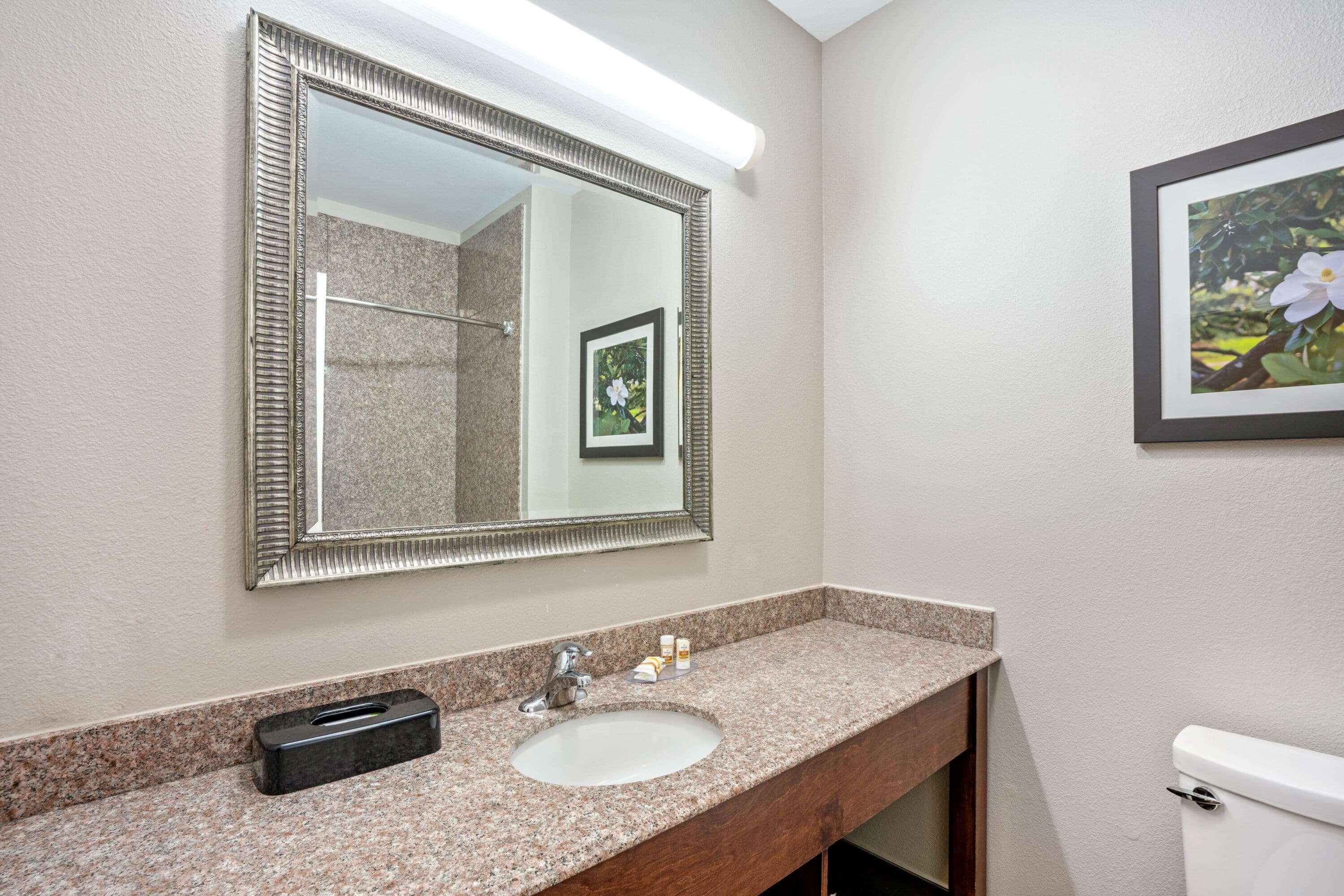 La Quinta By Wyndham Houston - Magnolia Hotel Exterior photo